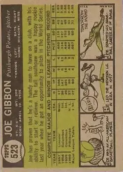 Back of Joe Gibbon