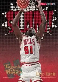 1995-96 Hoops #376 Dennis Rodman
