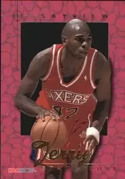 1995-96 Hoops #SV9 SkyView Jerry Stackhouse