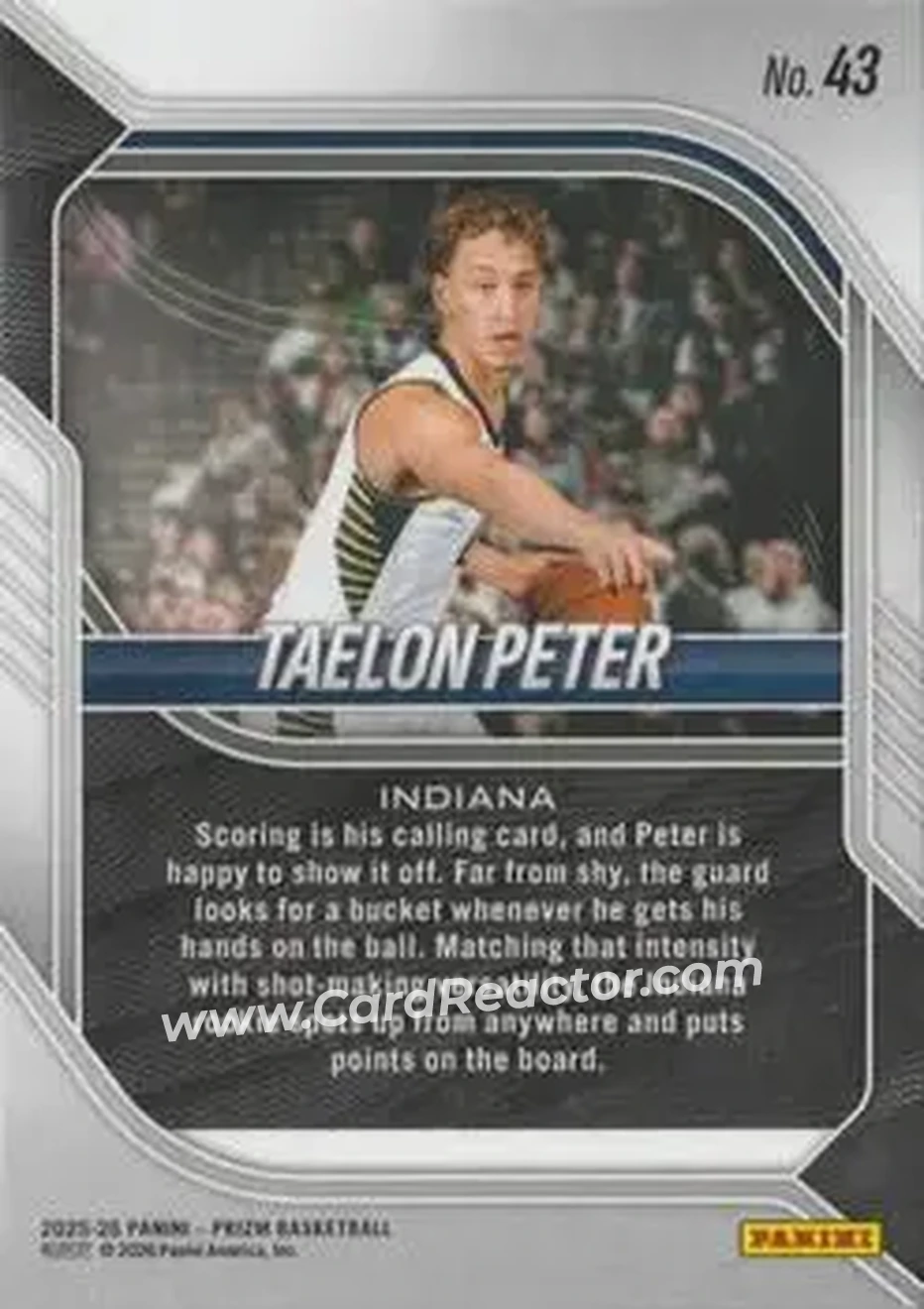 Back of Taelon Peter