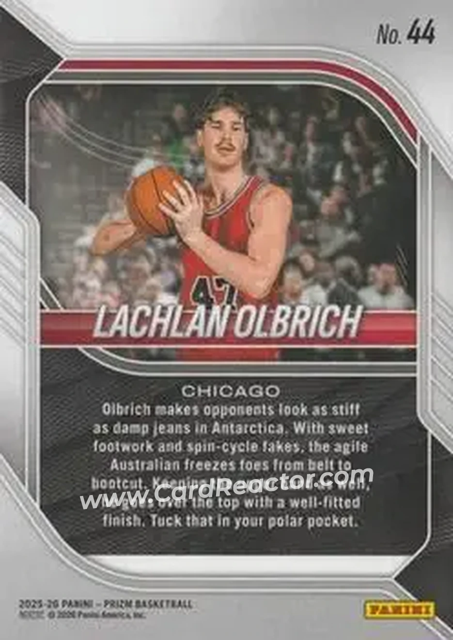 Back of Lachlan Olbrich