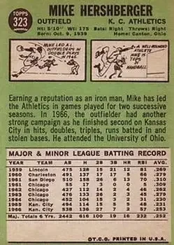 Back of Mike Hershberger