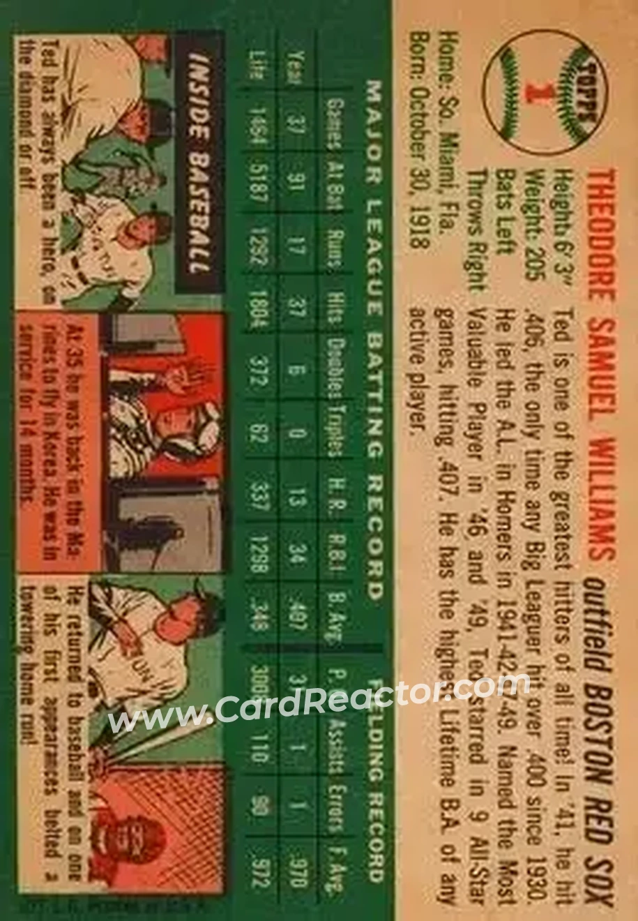 Back of Ted Williams