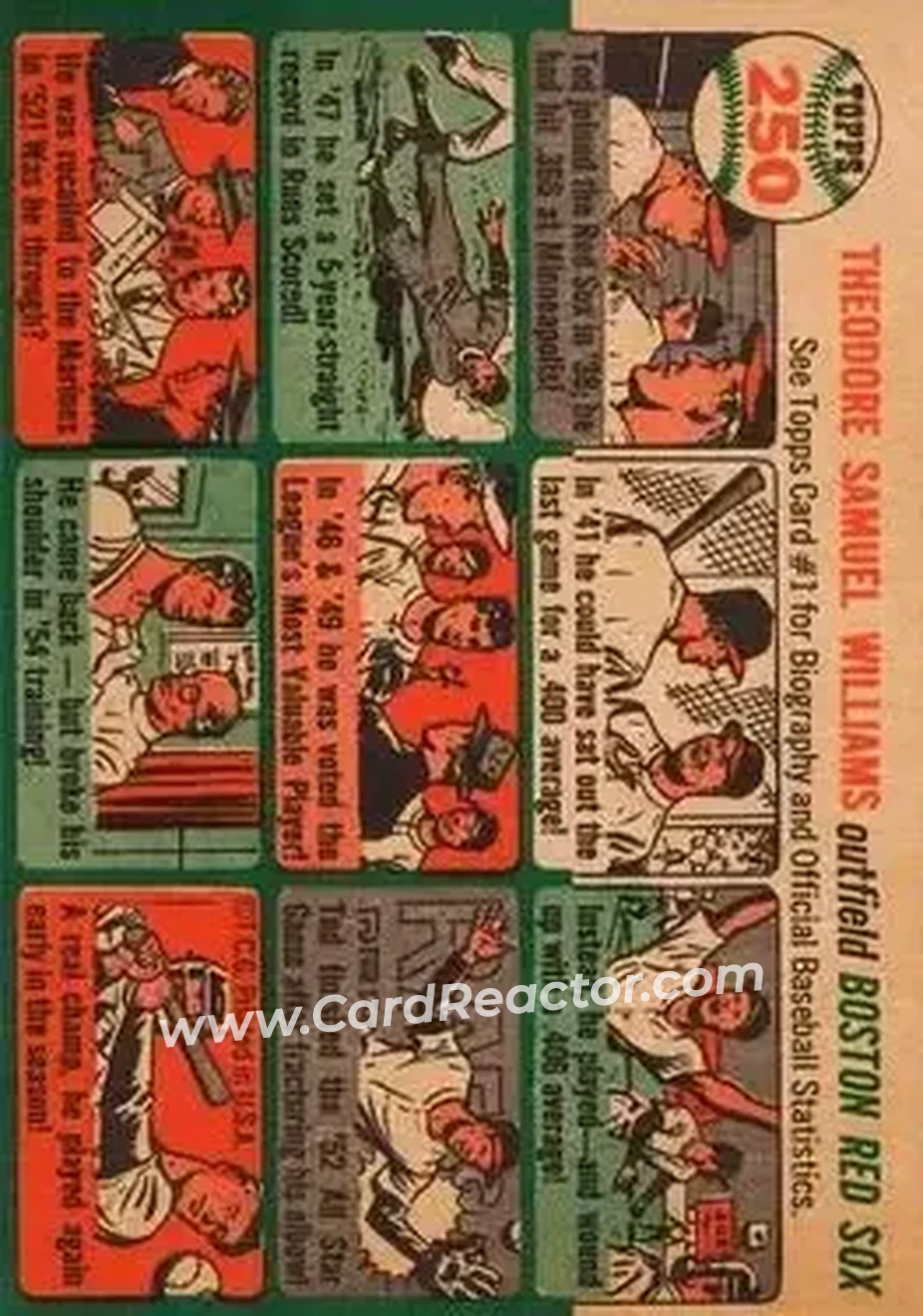 Back of Ted Williams