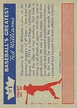 Back of Ted Williams