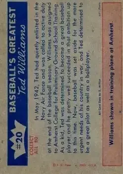Back of Ted Williams