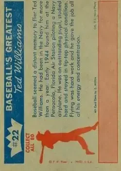 Back of Ted Williams