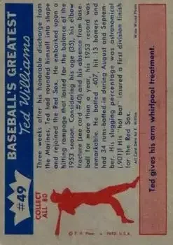Back of Ted Williams