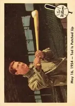1959 Fleer Ted Williams #51 Ted Williams