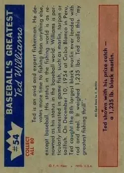 Back of Ted Williams