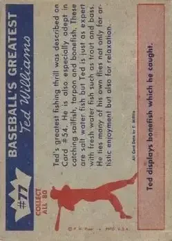 Back of Ted Williams