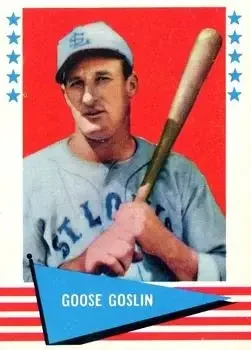 Front of Goose Goslin