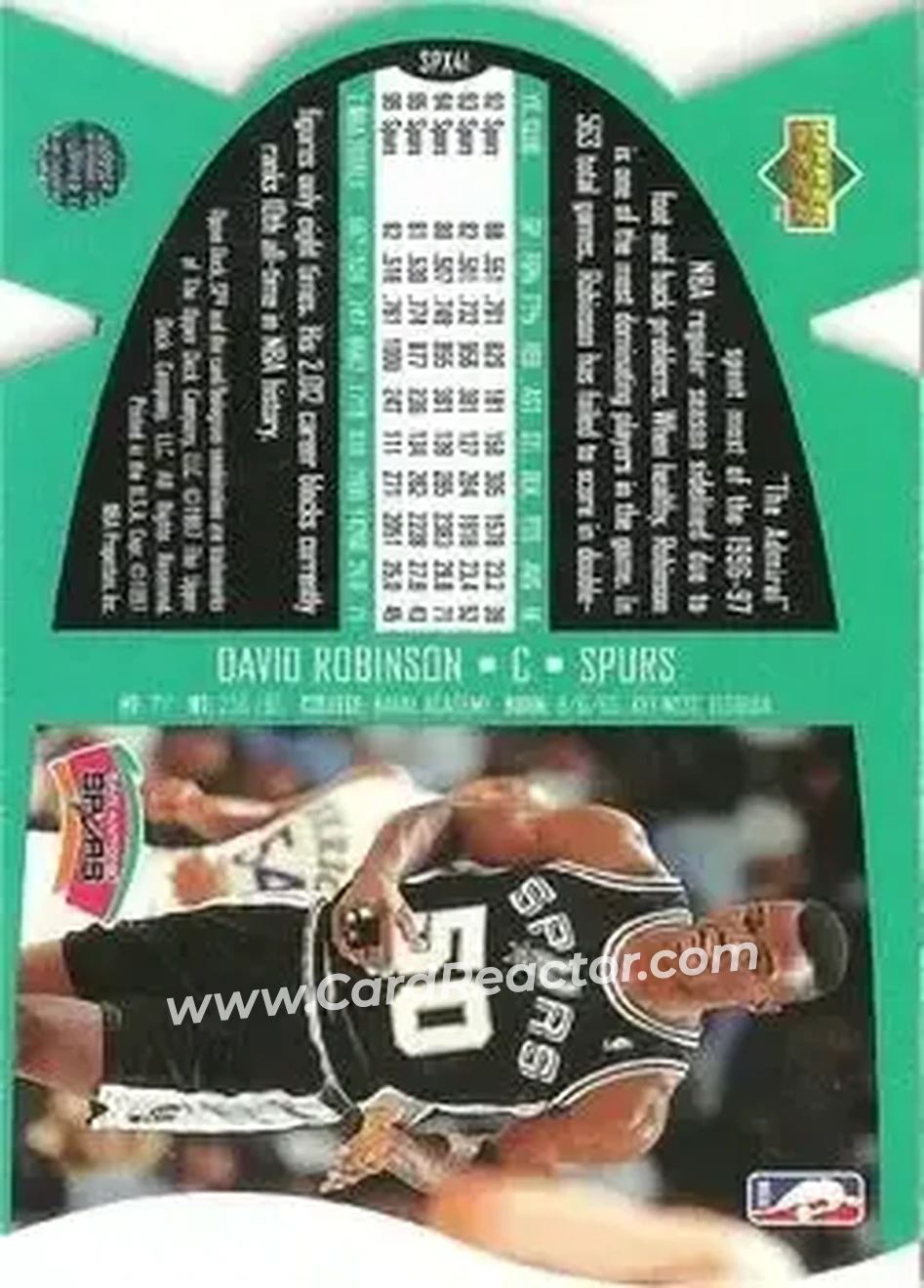 Back of David Robinson