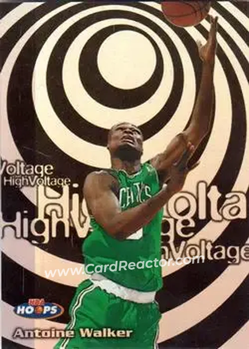 Front of Antoine Walker