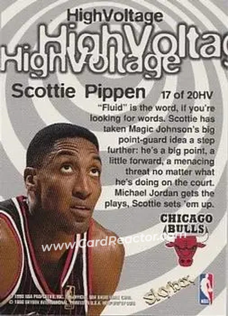 Back of Scottie Pippen