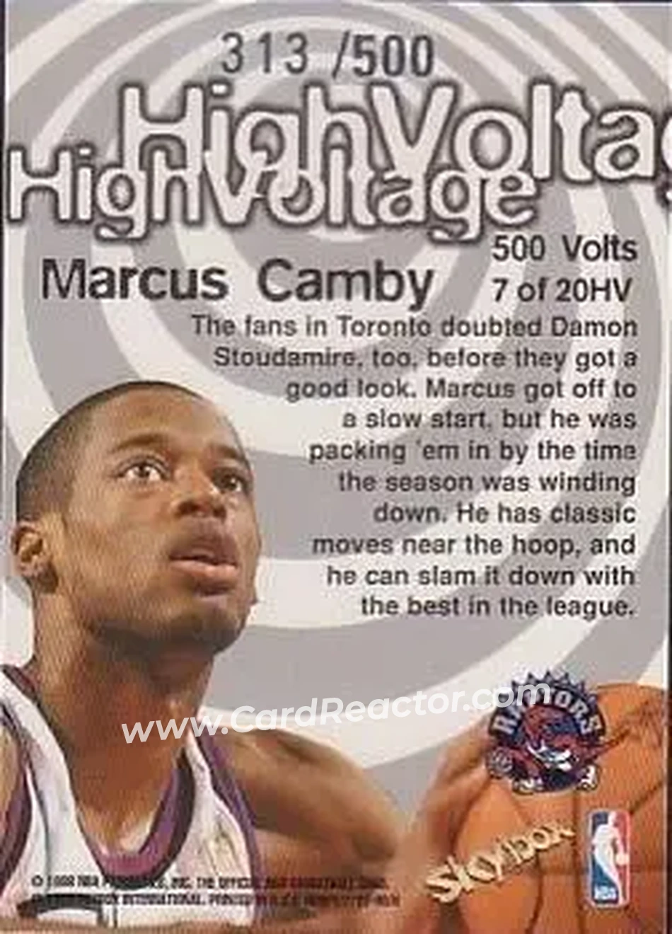Back of Marcus Camby