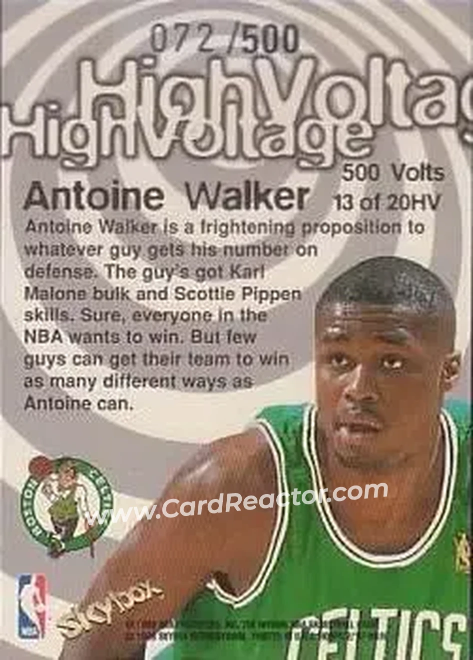 Back of Antoine Walker