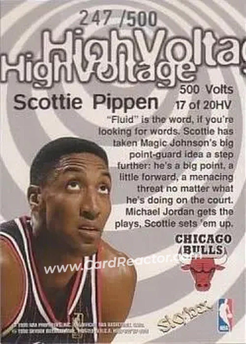 Back of Scottie Pippen