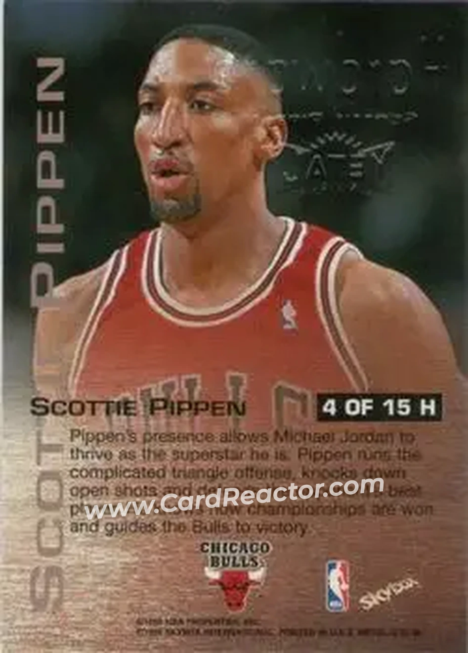 Back of Scottie Pippen