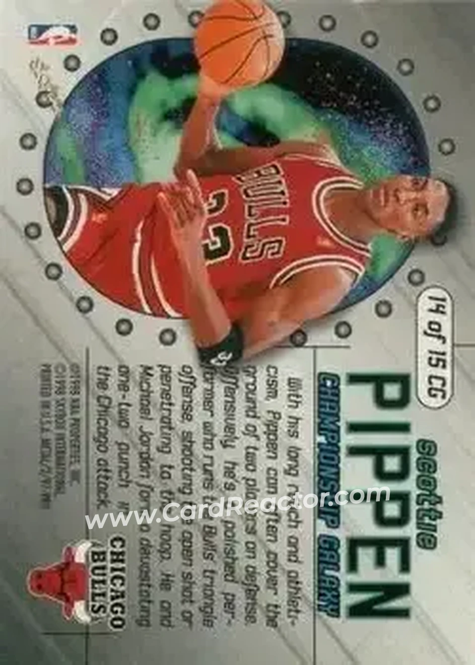 Back of Scottie Pippen