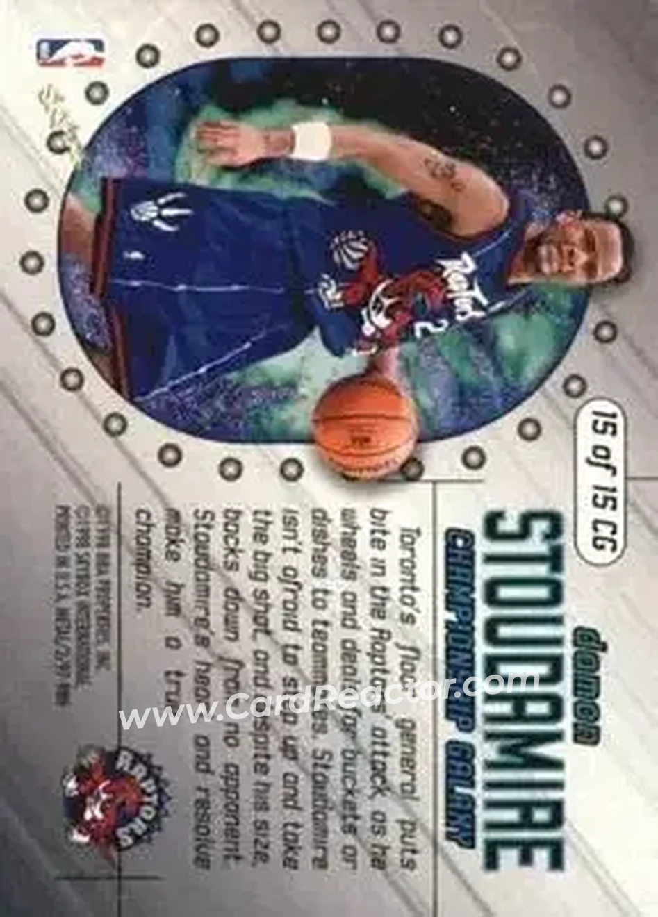 Back of Damon Stoudamire