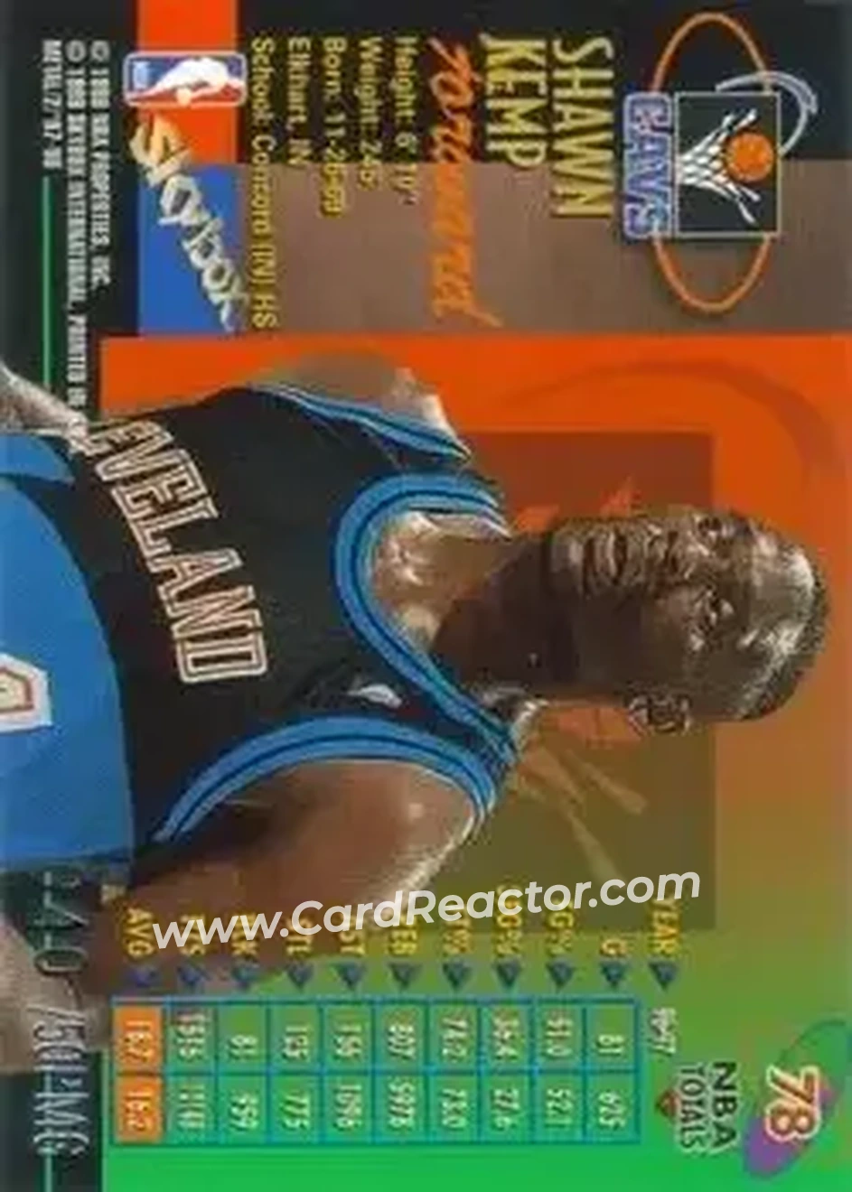 Back of Shawn Kemp