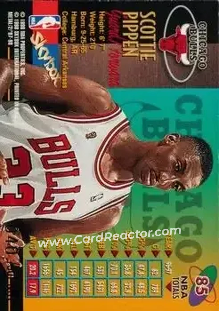 Back of Scottie Pippen