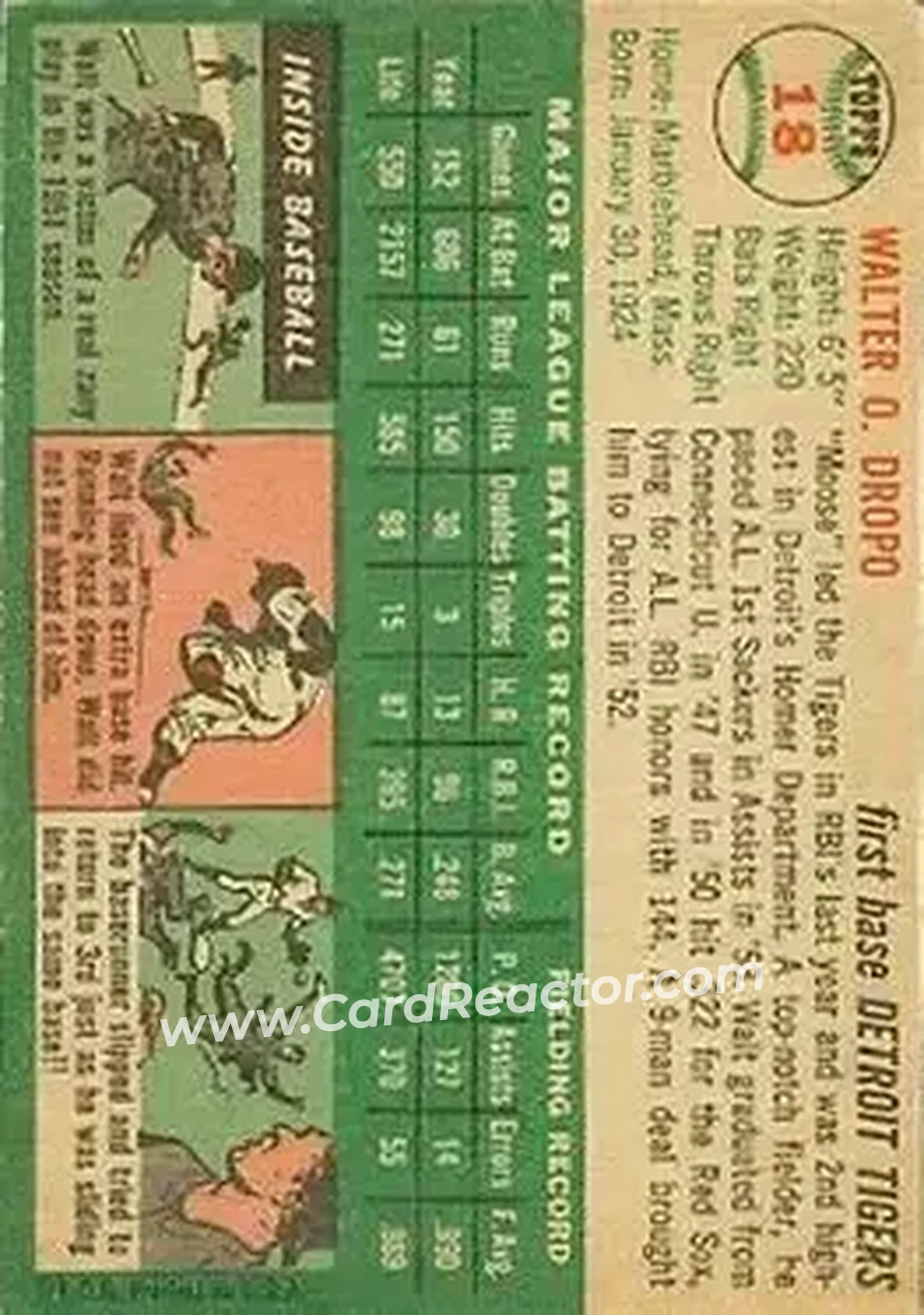Back of Walt Dropo