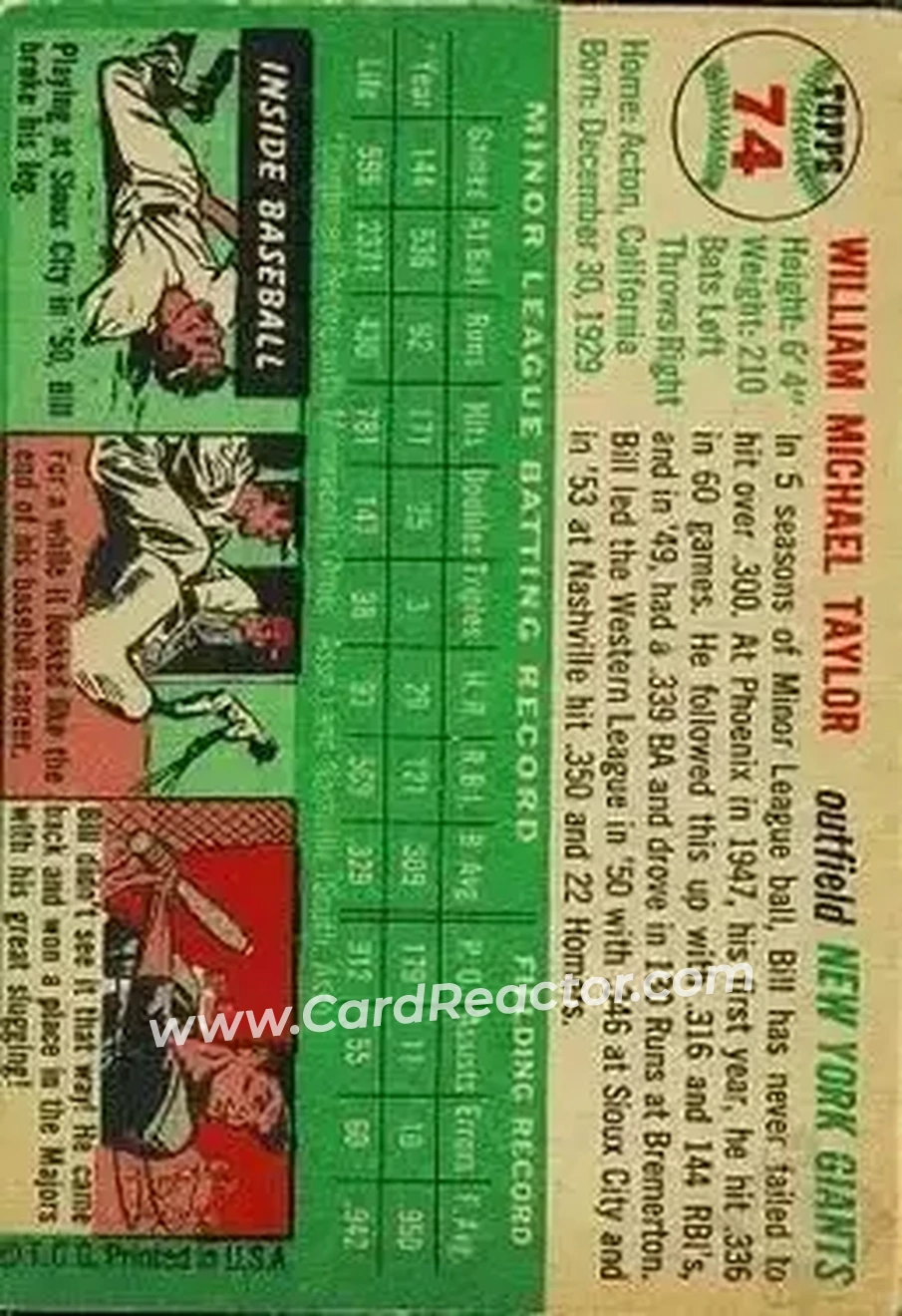 Back of Bill Taylor