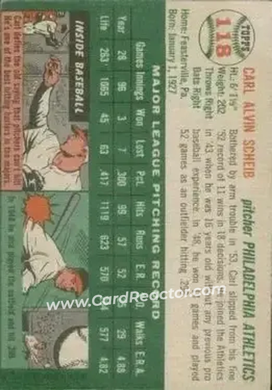 Back of Carl Scheib