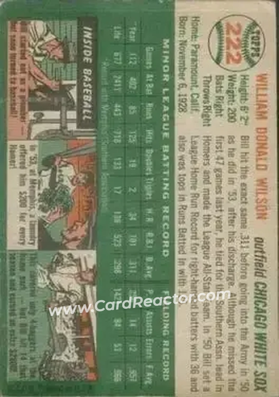 Back of Bill Wilson