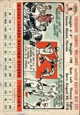 Back of Ted Williams