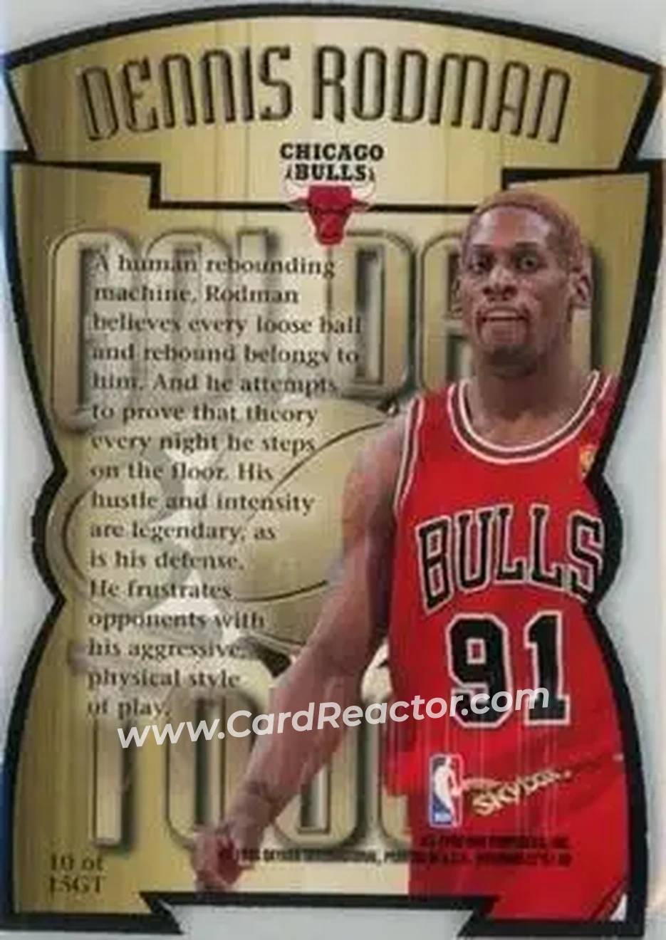 Back of Dennis Rodman