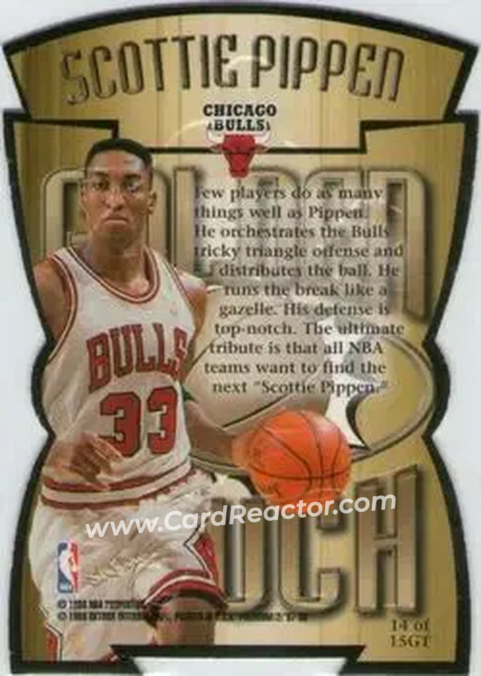 Back of Scottie Pippen