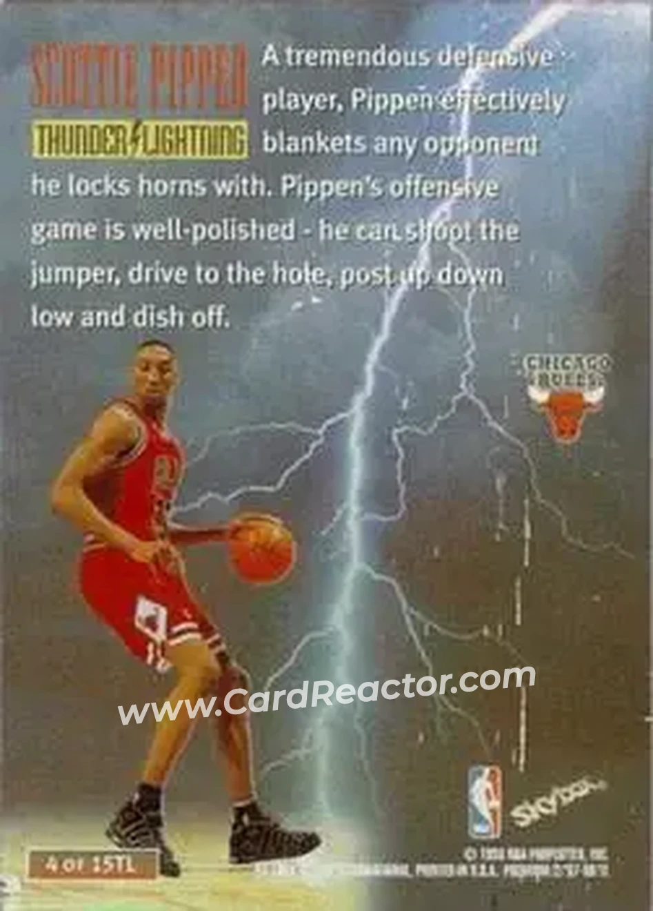 Back of Scottie Pippen