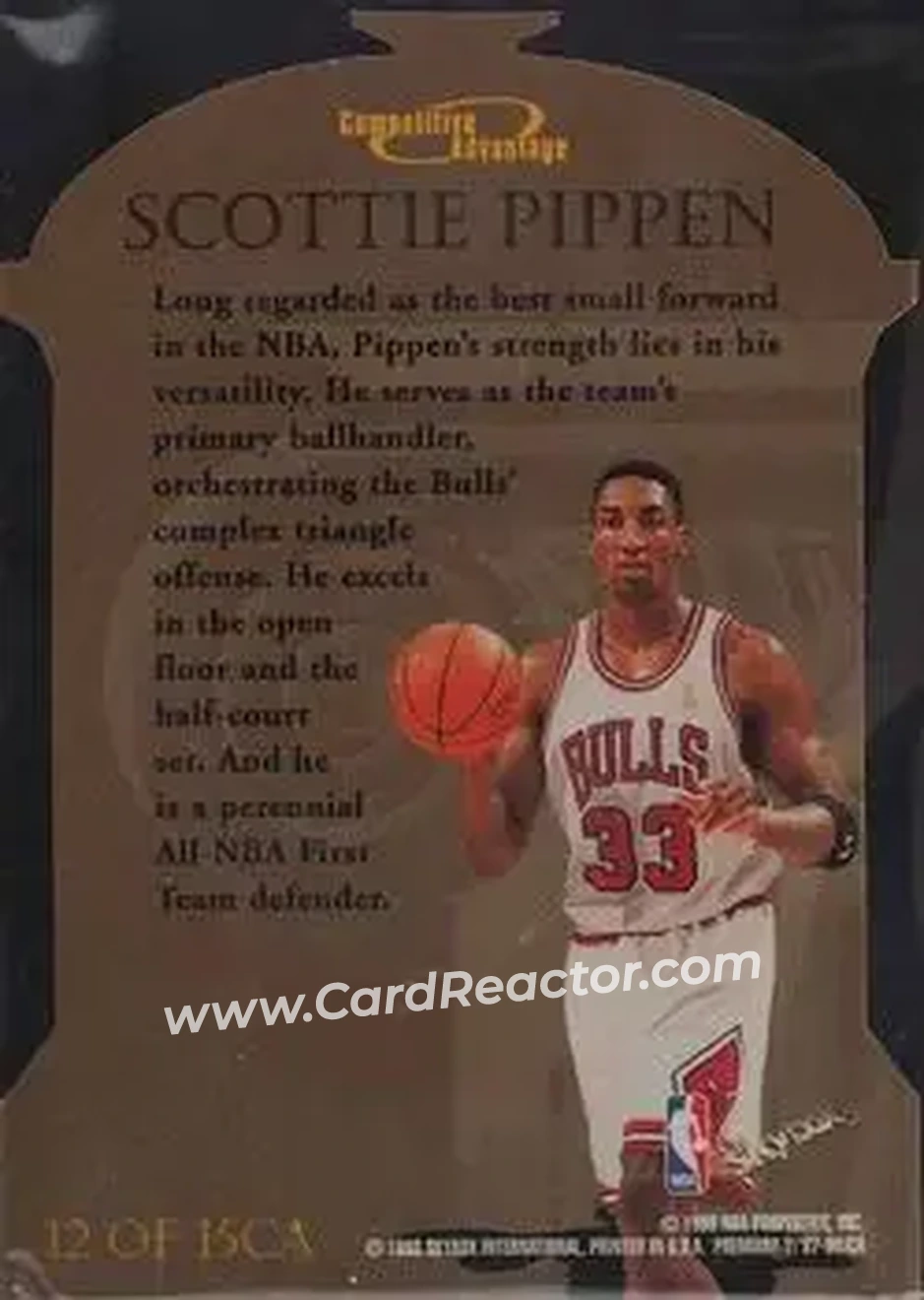 Back of Scottie Pippen