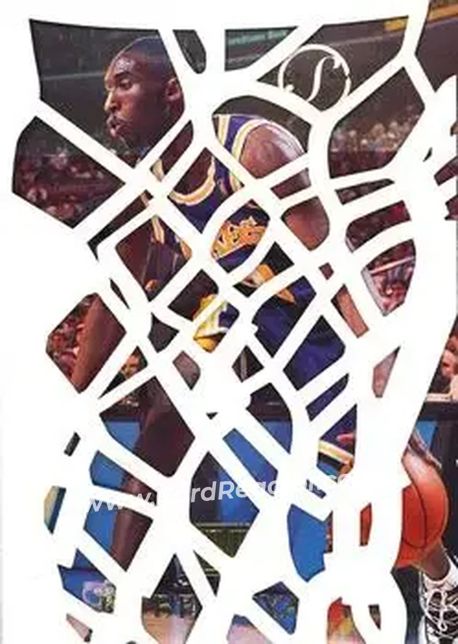 Front of Kobe Bryant