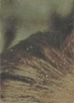 Back of Card #94
