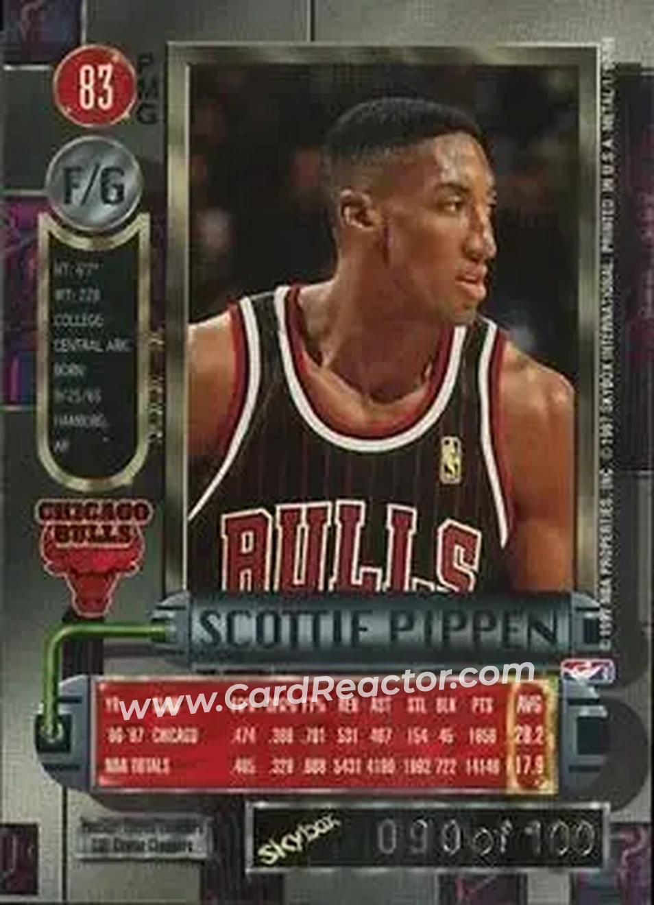 Back of Scottie Pippen