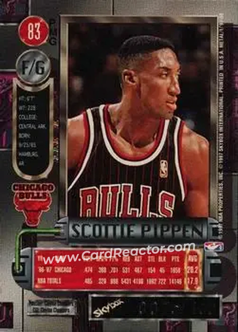 Back of Scottie Pippen