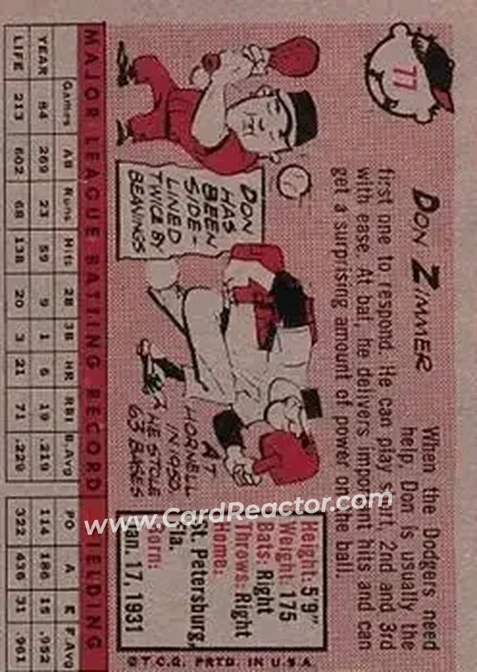Back of Don Zimmer