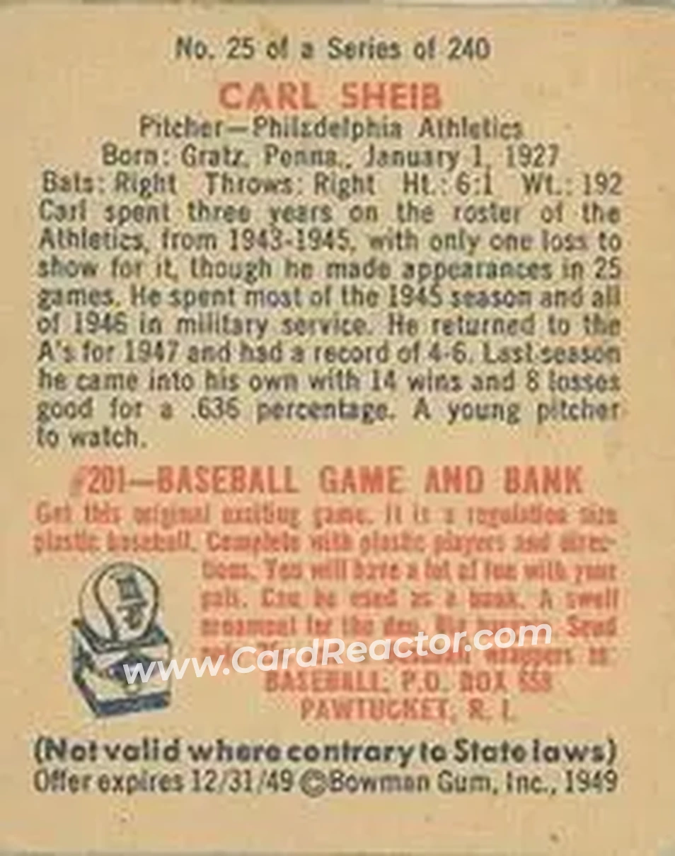 Back of Carl Scheib