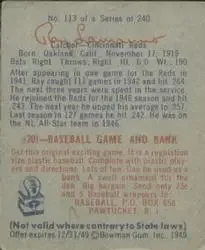 Back of Ray Lamanno