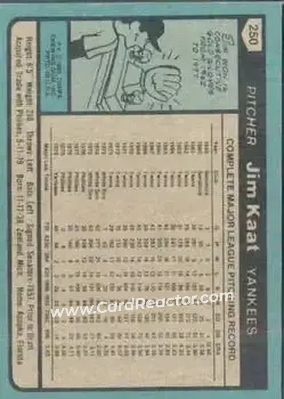 1980 Topps #250 - Jim Kaat - New York Yankees 1980 Topps #250 - Jim Kaat - New York Yankees