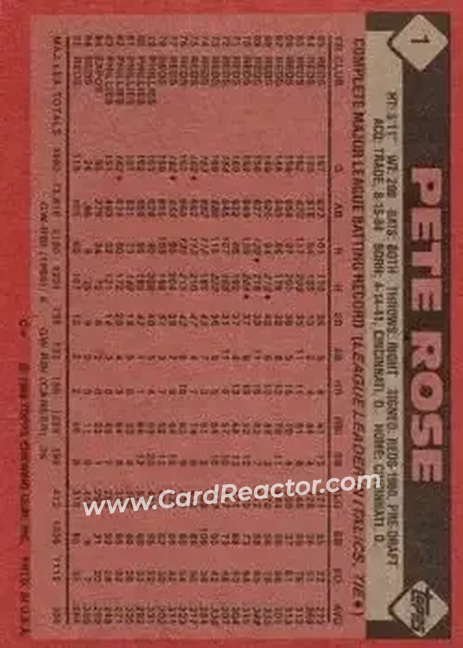Back of Pete Rose