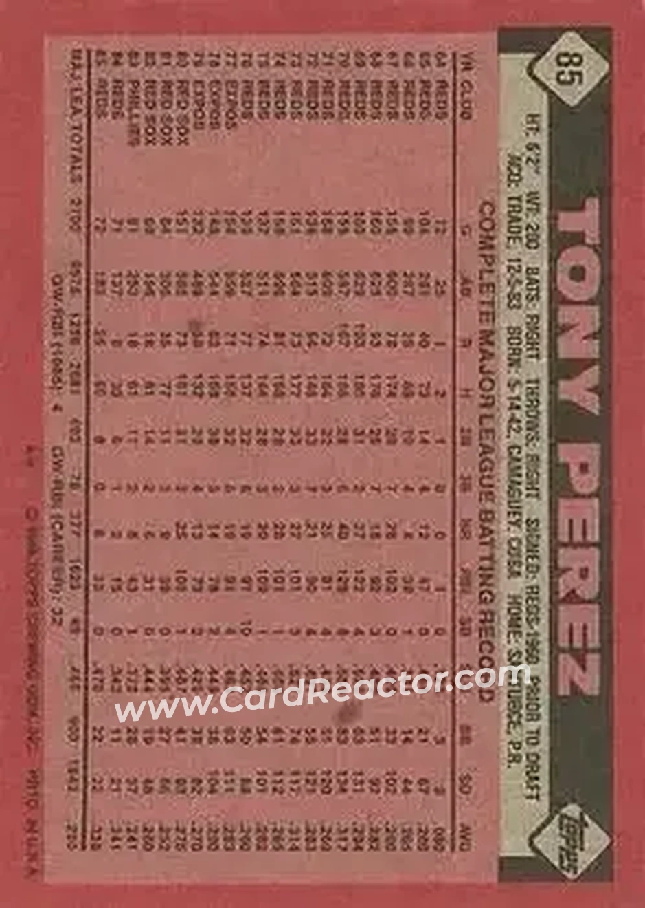 Back of Tony Pérez