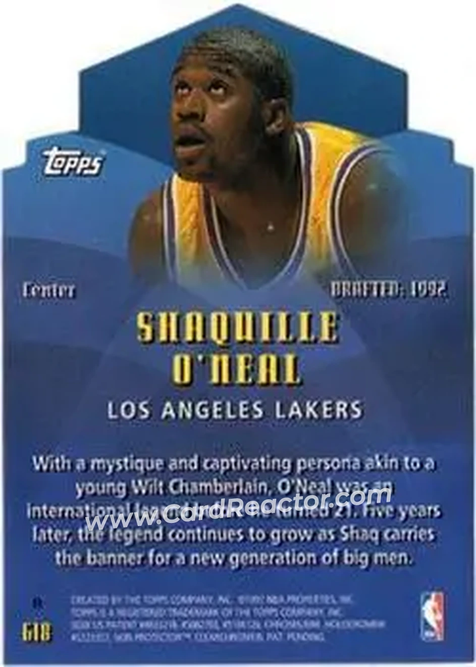 Back of Shaquille O'Neal
