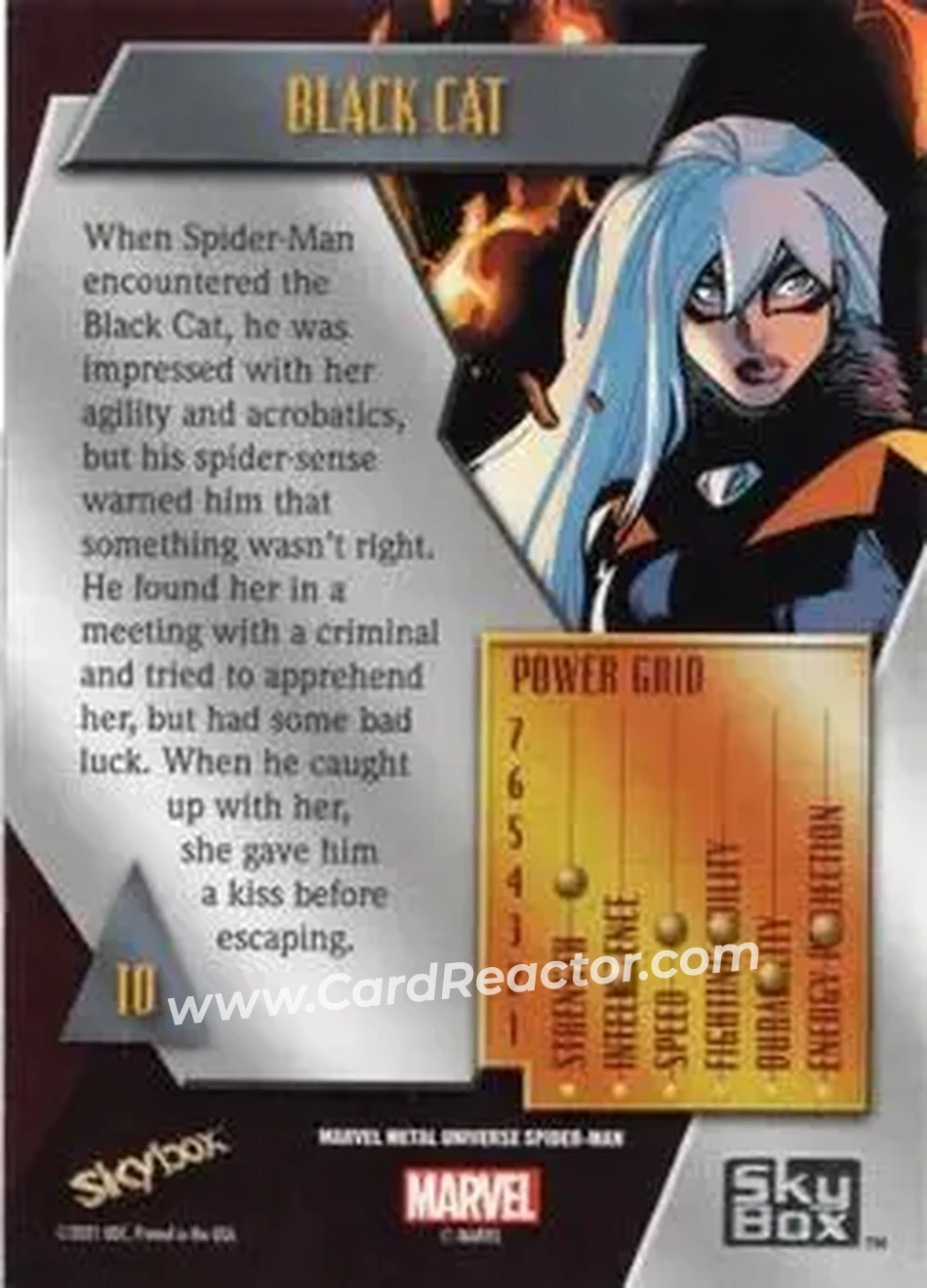 Back of Black Cat