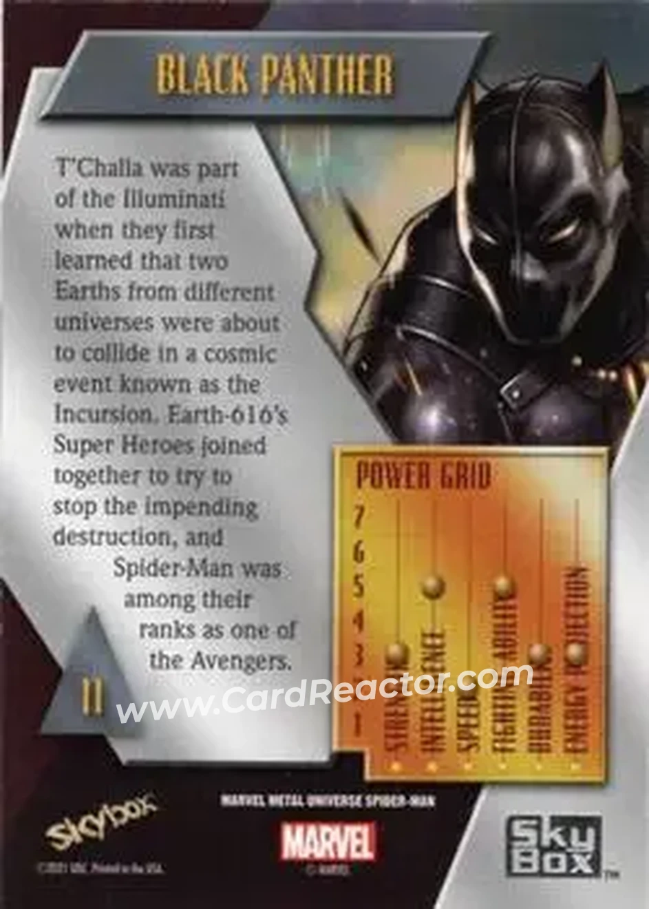 Back of Black Panther