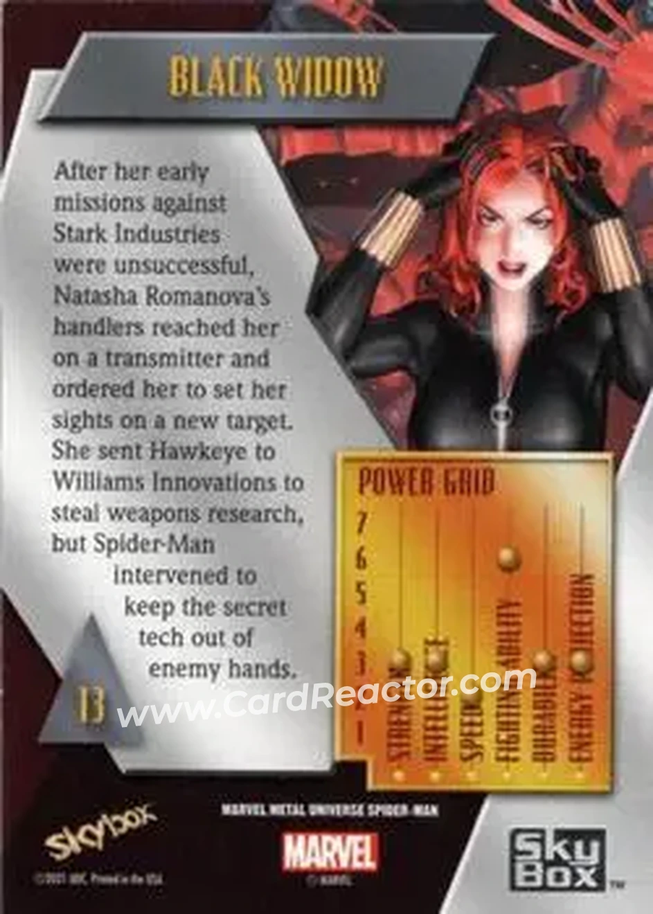 Back of Black Widow